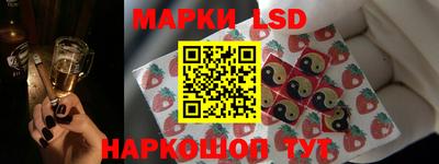 ECSTASY Новозыбков