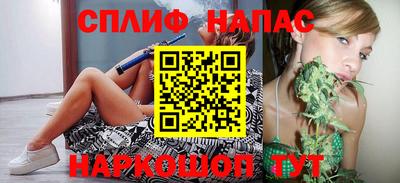 ECSTASY Новозыбков