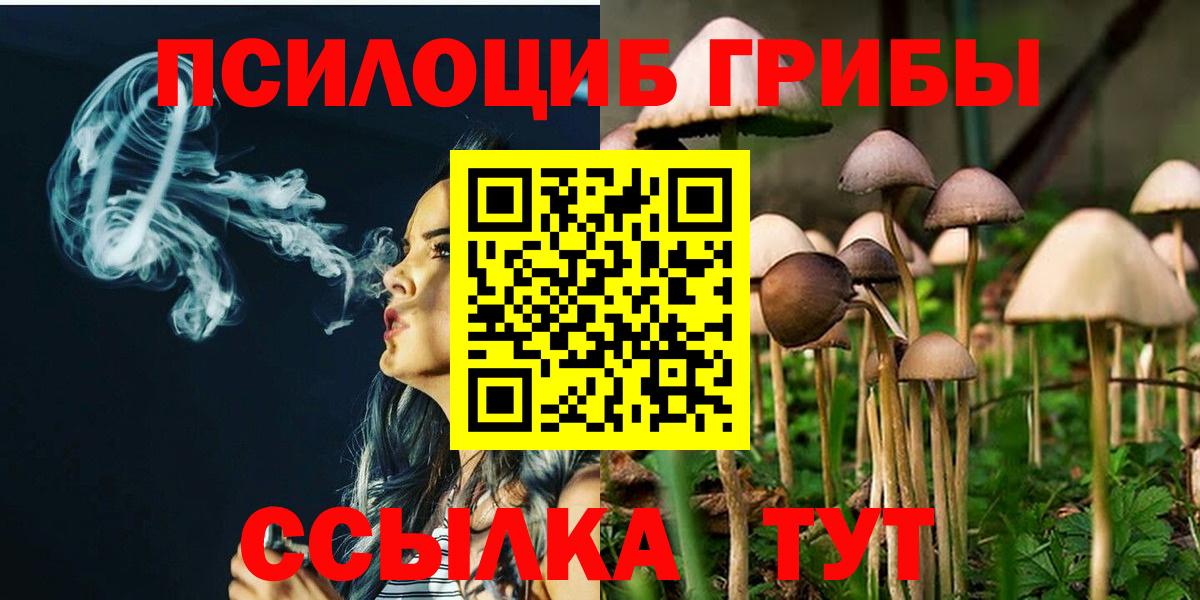 Галлюциногенные грибы Magic Shrooms Среднеуральск