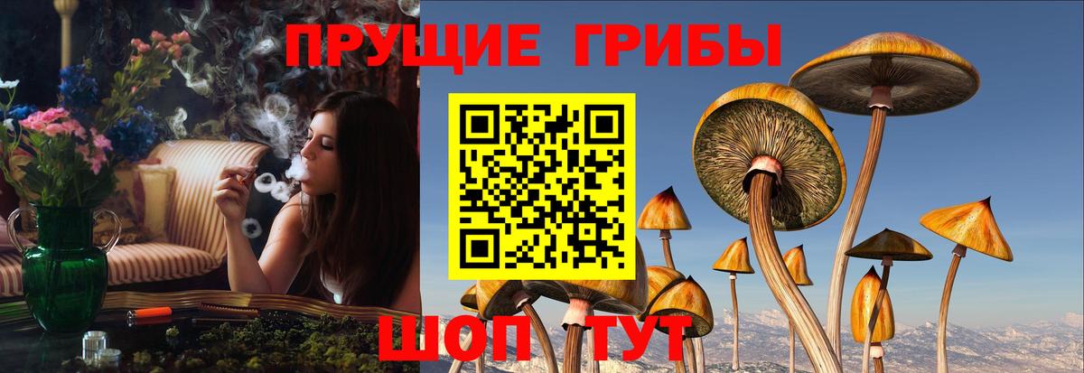 Галлюциногенные грибы MAGIC MUSHROOMS  Вход с VPN  Среднеуральск 